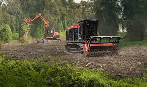 Brush and Land Clearing in Aiken